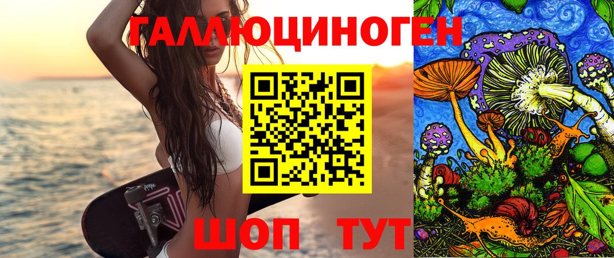 Галлюциногенные грибы Psilocybine cubensis Кимовск