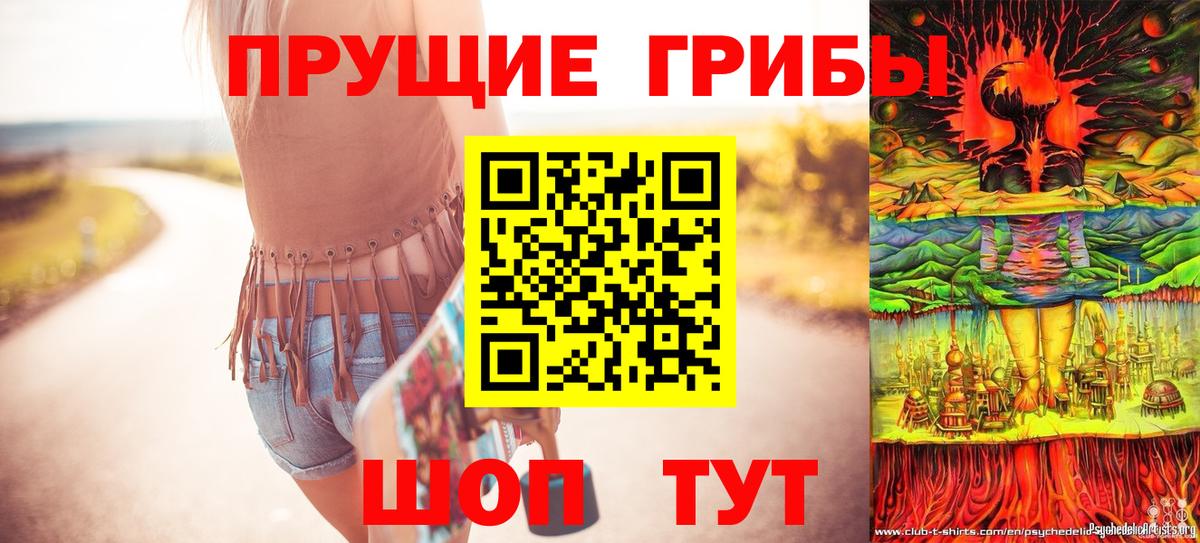 Кимовск  Галлюциногенные грибы Cubensis  Вход с VPN 