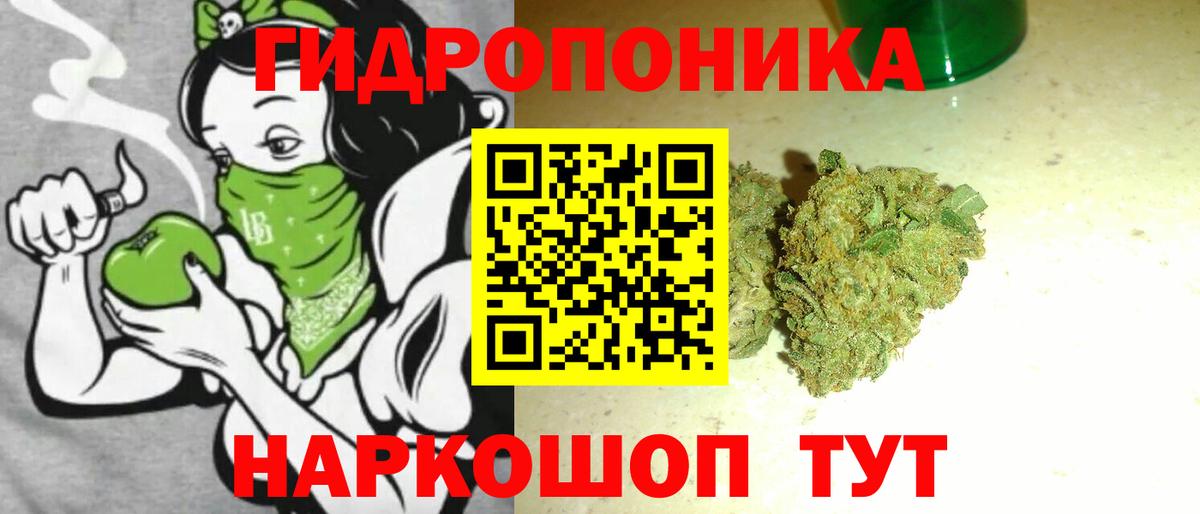 Шишки марихуана VHQ Кимовск